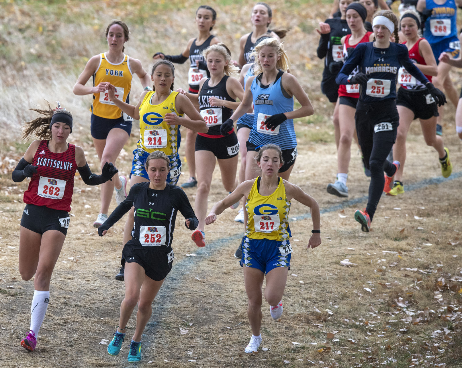 State cross country, 10.23